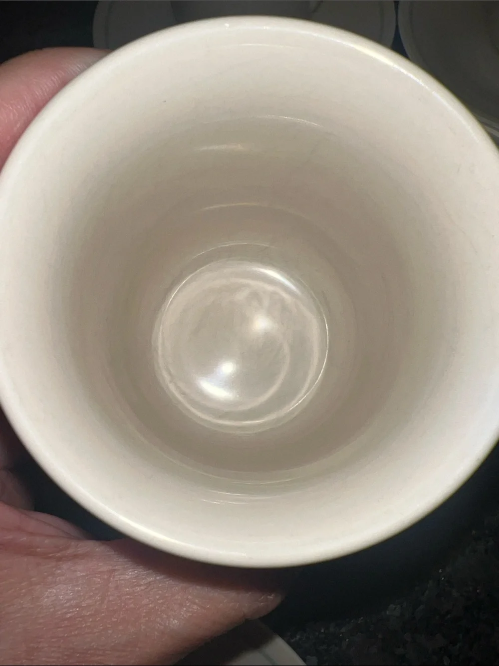 Corelle CALICO ROSE cup and saucer set of 4. Green and Pink roses